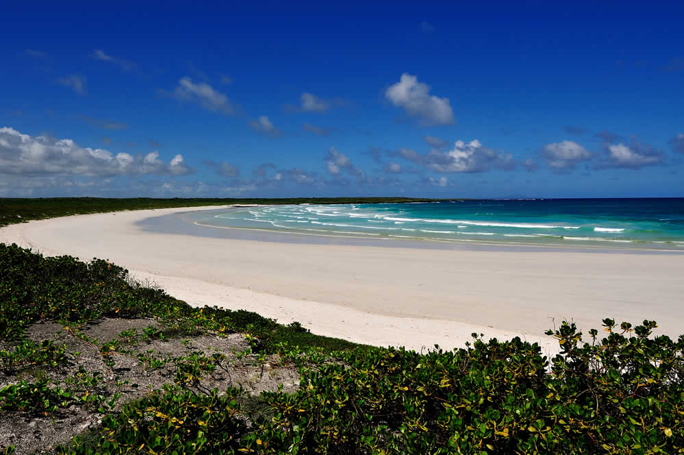Tortuga Bay beach