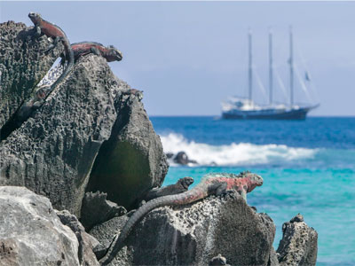 Conde Nast Traveler