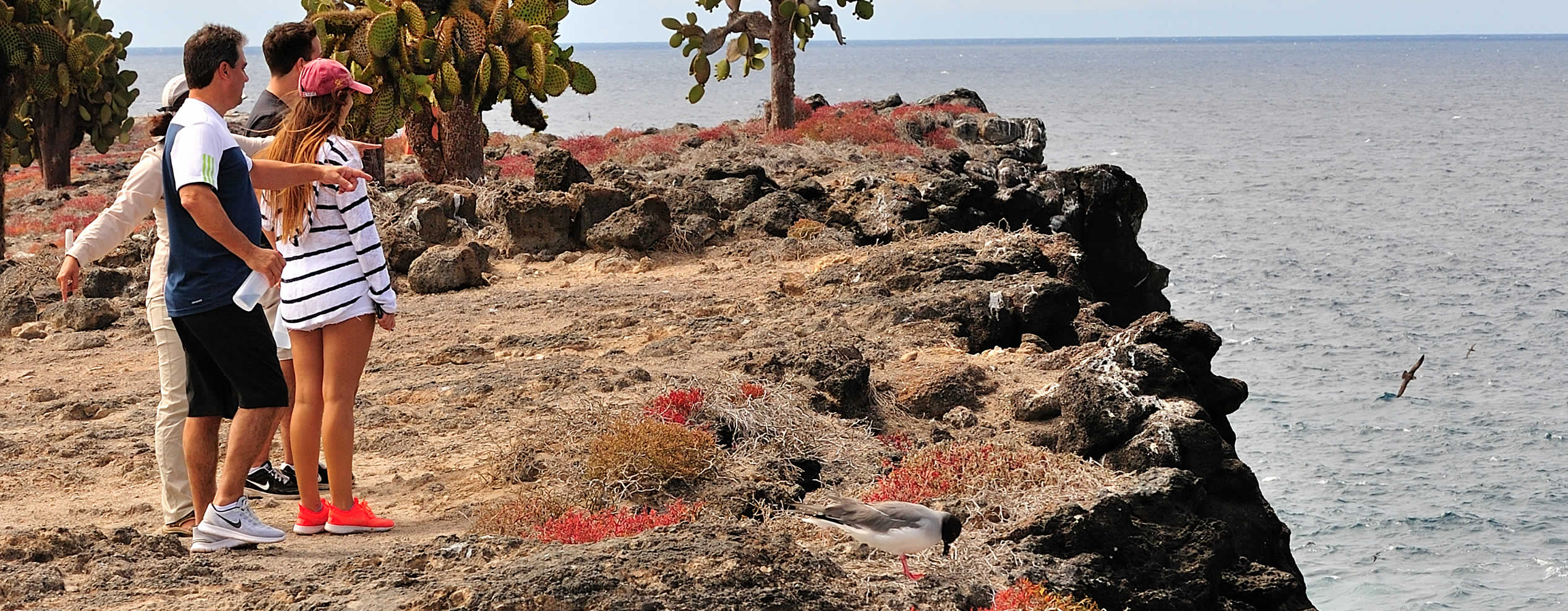 The Galapagos beaches